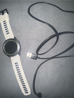 Garmin Enduro and Charger